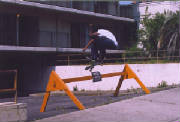 rory_kickflip.jpg